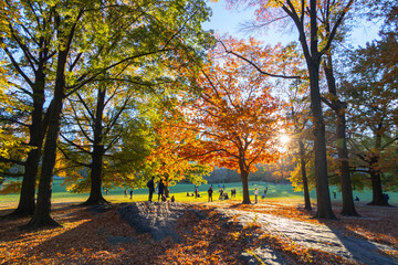 NEW YORK, NEW YORK USA – NOVEMBER 24: The sun illuminates autumn leaf color trees and people relaxing on the Sheep Meadow in Central Park on November 24, 2021 at New York City NY USA.