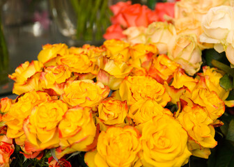 A beautiful bright bouquet of blooming fresh roses for a gift collected by an experienced florist