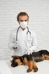 Front view of vet holding syringe, dog lying on side on white table. Doctor in lab coat and mask...