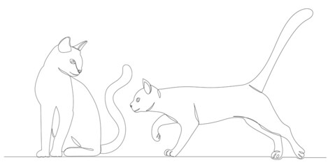 cat drawing one continuous line