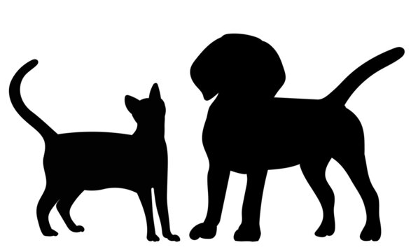 cats and dogs black, silhouette isolated