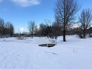 A view of a park in Reykjavik in Iceland in the winter