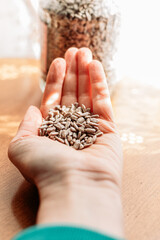 Female hand holding sunflower seeds. Healthy eating, snacks