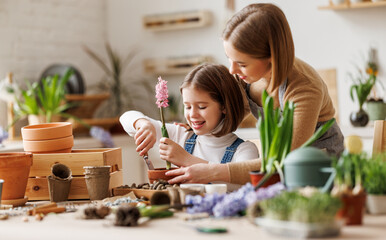 Mother and daughter replanting plants at home