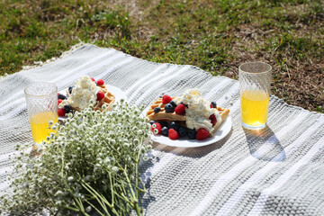 Summer picnic 