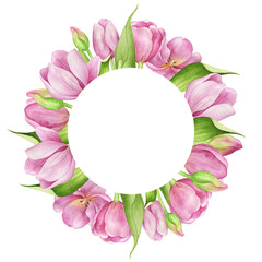 Watercolor hand painted pink tulips wreath. Botanical spring blossom. Hand painted flowers. Flloral arrangement for greeting card, wedding invitation. Isolated.