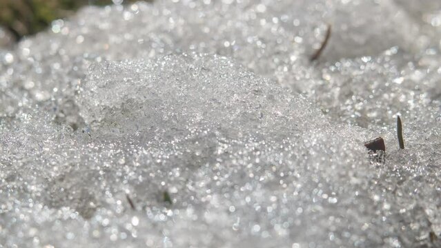 the snow melts in the spring, and you can find coins, time lapse