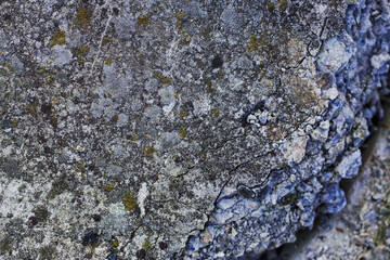 texture of old grey concrete detail as a city background