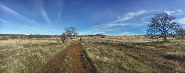 Hiker on Trail in Payne's Creek Recreation Area, California, in Winter
