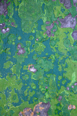 Texture details of an old rusty painted buoy - car park of the Fraserburgh lighthouse museum - Fraserburgh - Aberdeenshire - Scotland - UK