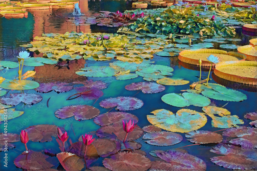 Wall mural Large pond with different types of Lillies, and flowers in bloom. 