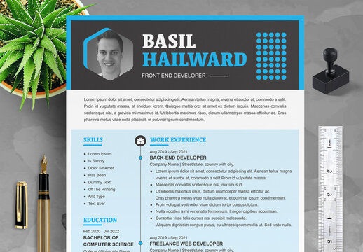Professional Developer Resume CV Layout