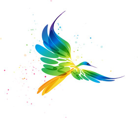 Multicolored stylized bird art in flight on a white background