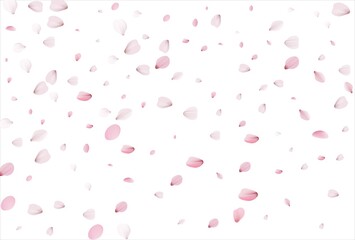 Sakura petals background. Cherry petals