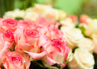 A beautiful bright bouquet of blooming fresh roses for a gift collected by an experienced florist