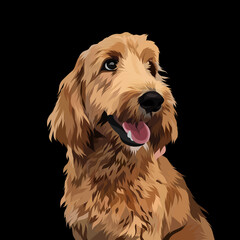 Dog vector pop art colorful