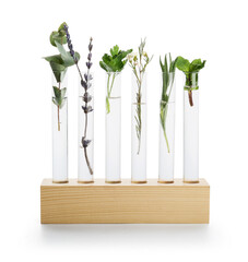 Test tubes with natural essential oils on white background