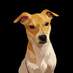 Dog vector pop art colorful