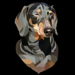 Dog vector pop art colorful