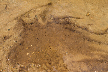 Ground texture, with sand, stones and whater. Makes a nice abstract or wallpaper.