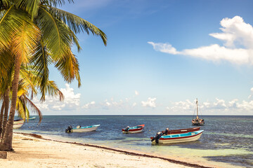 Fototapeta na wymiar Tropical beach with palm trees and old boats floating on Caribbean Sea in Dominican Republic on Saona island as tropical scenery 
