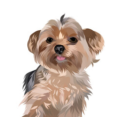 Dog vector pop art colorful white background