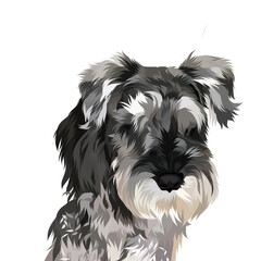 Dog vector pop art colorful white background