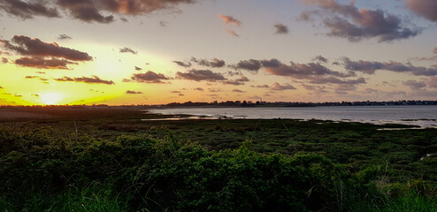 sunset in the field