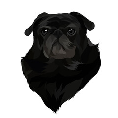 Dog vector pop art colorful white background