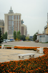 summer street flowers and beige building in Astana 