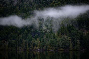 Naklejka na ściany i meble fog in the forest