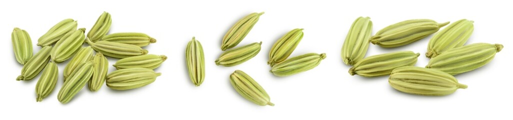 Dried fennel seeds isolated on white background with clipping path. Top view. Flat lay. Set or collection