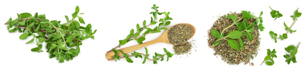 Oregano or marjoram leaves fresh and dry isolated on white background. Top view. Flat lay. Set or collection