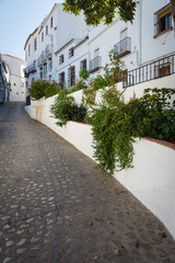Fototapeta na wymiar Street full of plants and colorful flowers in the old town in the white village of Zahara de la Sierra, Natural Park of Grazalema mountain range, Cadiz province, Andalusia, Spain