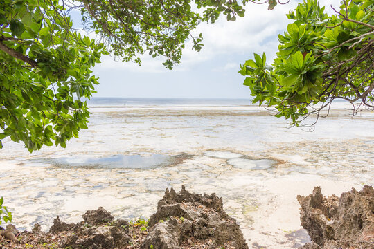 Amazing tropical seascape in Africa. Low tide of Indian ocean. Eotic nature. Tropical landscape with white sand beach and trees. Tranquil coastline. Idyllic island. Scenic lagoon.