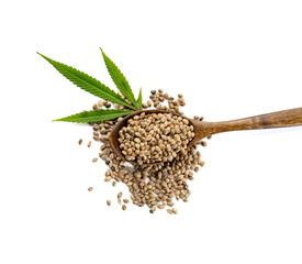 Spoon with hemp seeds on white background