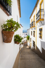 Fototapeta na wymiar Typical Andalusian cosy street with walls decorated with colorful flowers and pots in the beautiful and touristic village of Olvera, Cadiz province, Andalusia, Spain