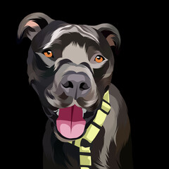 Dog and cat pop art black background