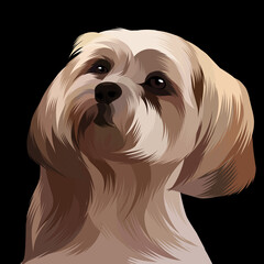 Dog and cat pop art black background