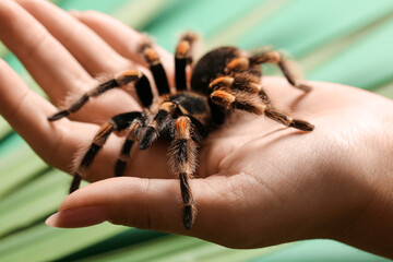 Woman with scary tarantula spider, closeup