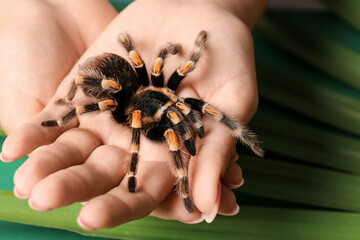 Woman with scary tarantula spider, closeup