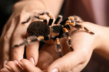 Woman with scary tarantula spider, closeup