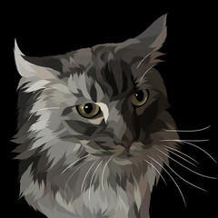 Dog and cat pop art black background