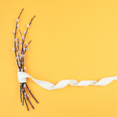 Easter holiday and spring background, empty paper for text, yellow colors, pussy willow, greeting card
