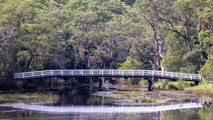 Fototapeta na wymiar Wooden Bridge over Hacking River, Royal national Park, New South Wales Australia