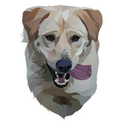 Dog and cat pop art illustration white background