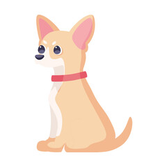 Isolated cute chihuahua dog breed cartoon Vector illustration