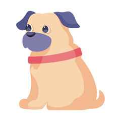 Isolated cute pug dog breed cartoon Vector illustration