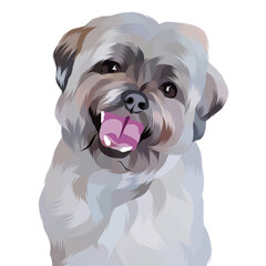 Animal vector colorful white background