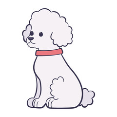 Isolated cute french poodle dog breed cartoon Vector illustration